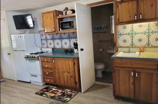 Castaway Cottage on Croton Pond #4 - Newaygo - 2