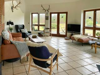 Octagonal Thatched Forest House Near Herning - 1