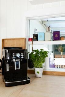 Light And Wild Woods For The Entire Family - Frederiksværk - 7