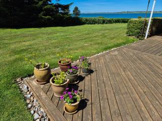 Nature Cabin With View By The Falster Coast - Stubbekøbing - 1