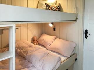 Cosy Holiday Home With Stunning Views In Rauland - Rauland - 1