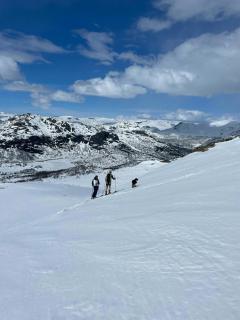 70S Architectural Cabin With Views In Hemsedal - Hemsedal - 1