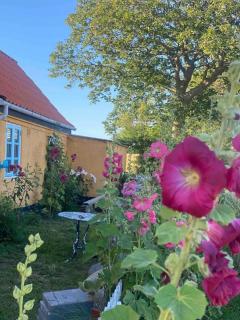 Holiday Apartment In Voderup On Ærø - Ærøskøbing - 5