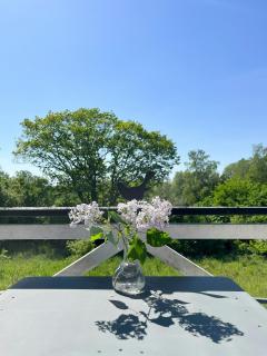 Wooden Summer Home With South-Facing Patio - Dronningmølle - 4