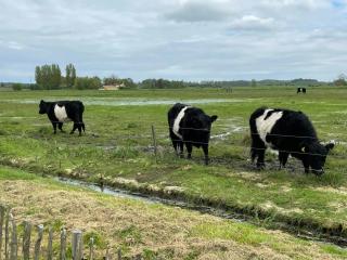 Charming Summer House Near Dalbybugten - 1