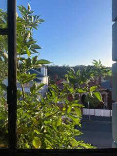 Grappa Court Penthouse Apartment in North Hobart - - 7