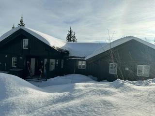 Family Cabin With Ski In Ski Out - Trysil - 2
