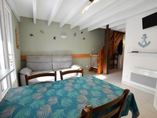Maison plage à 900m, 3 chambres, terrasse, barbecue, parking, proximité commerces, calme assuré - FR-1-705-61 - Les Mathes - 7
