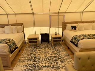 Yellowstone Dreamin Camp - 1