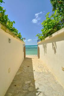 Caribbean Nature Sourrounded Refuge Apartment - Juan Dolio - 4