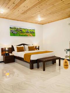 NATURALIZA - 9