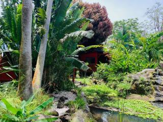 Le MORNE Aux F0US Cabanes & Jardin Tropical - Deshaies - 5