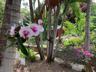 Le MORNE Aux F0US Cabanes & Jardin Tropical - Deshaies - 6