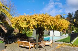 Redwoods Oasis with private Pool Sauna and Spa - Rotorua - 7