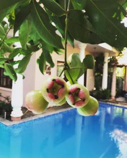 Mandaram villas - Mararikulam - 4