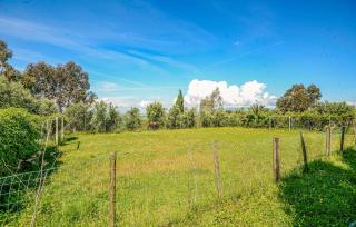 Awesome Home In Palaia - Palaia - 5