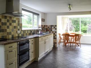 Sunny Beck - High Nibthwaite - 7