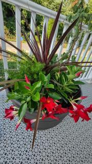 My Cozy Beach House - 3