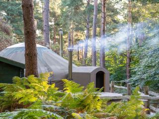 The Warren Yurt - Withyham - 0