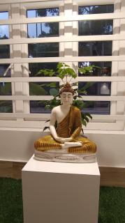 Yani's Marari - Alleppey - 3