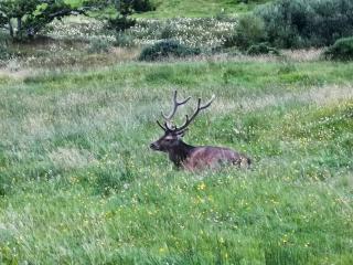 Cuillin View Apartment - Uk12529 - Arisaig - 2