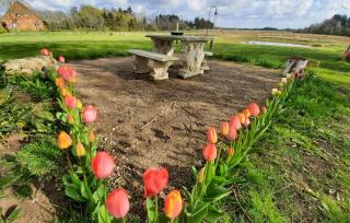 Beautiful Home In Ulfborg With Wifi - Ulfborg - 8