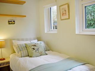 Palm Leas - E3587 - Ilfracombe - 7