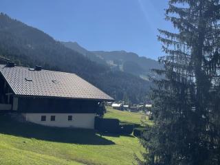 Studio cosy pour 4 personnes à Châtel, balcon et parking - FR-1-676-210 - Châtel - 3