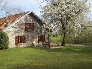Charmante maison en pierre au cœur des Vosges - FR-1-583-436 - Saint-Bresson - 7