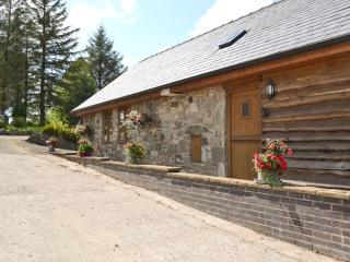 Y Dderwen At Brynglas Farm - Llanfair Caereinion - 1