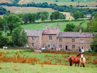 School Cottage - West Burton - 0