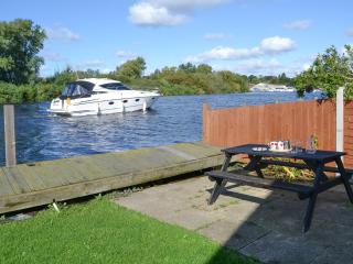 Pintail - Brundall - 0