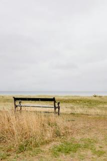 Unspoiled View To The Sea And Wild Nature - Store Fuglede - 3