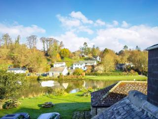 Florin Cottage - Lerryn - 0