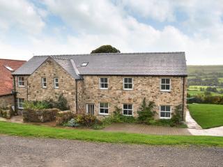 Raby Cottage-27764 - Wolsingham - 4