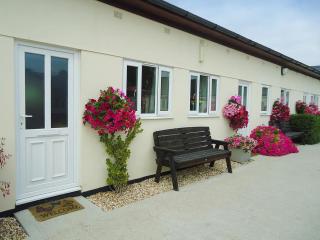 Primrose Cottage - Winterborne Steepleton - 0