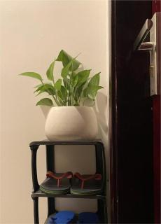 A Little House - Hanoi - 3