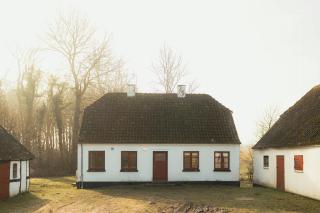 Cattle And Horses At Lundstedet At Skovsgaard - 9