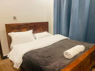 A Modern 4Bedroom Furnished House In Rubaga For Rent - Kampala - 9