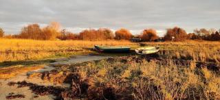 Nature Retreat By Jægerspris Beach - 1