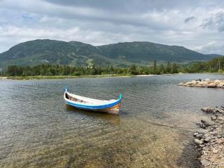 Cabin With Mountain View Near Lake Totak - Rauland - 1