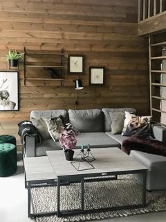 Enjoy Simple Cabin Life In Nature - Kongsberg - 8