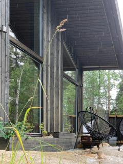 Enjoy Simple Cabin Life In Nature - 1