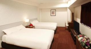 Hotel Grand Shinonome - Tsukuba - 3