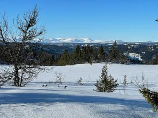 Family Cabin With Views In Valdres - Reinli - 5