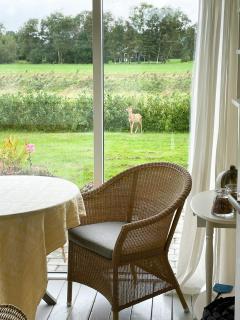 Cozy Summer House Near Kattegat - 1