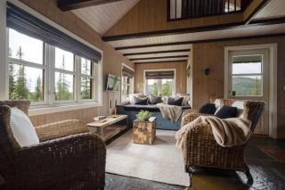 Cozy And Modern Mountain Cabin In Synnfjellet - - 4