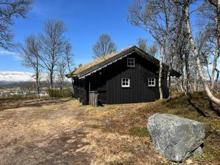 Traditional Log Cabin At Vierli - Rauland - 0