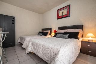 Hotel Bugambilias Poliforum - 6