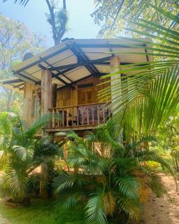 Ruk Sewana Villa Tree House - Sigiriya - 9